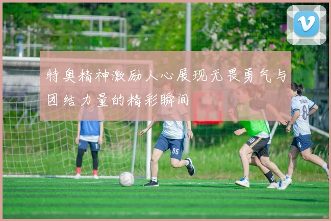 特奥精神激励人心展现无畏勇气与团结力量的精彩瞬间